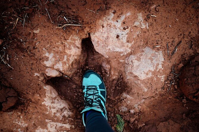 babylon-arch-hike-and-desert-wildlife-adventure