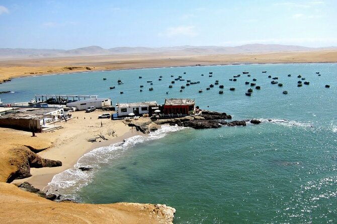 ballestas-islands-and-paracas-reserve-tour-from-san-martin-cruise