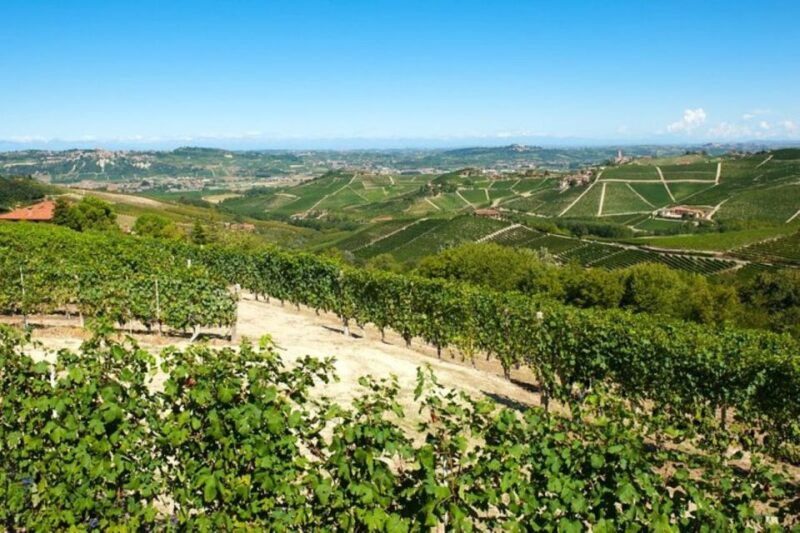 barbaresco-e-bike-tour-of-piedmont-wineries-with-tastings