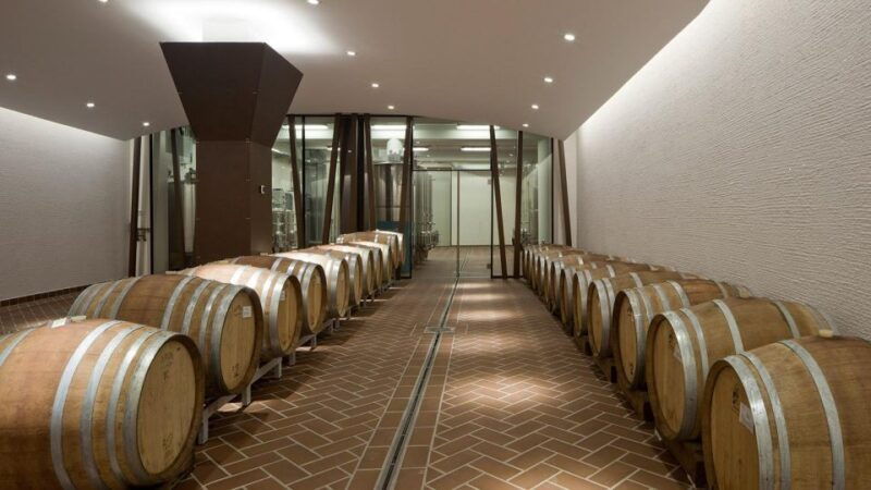 bardolino-tasting-of-6-red-valpolicella-and-garda-wines