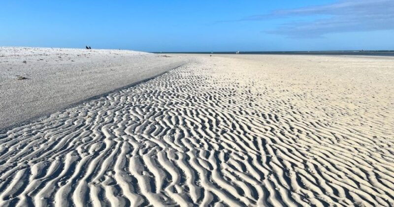 barrier-island-shelling-tour-3