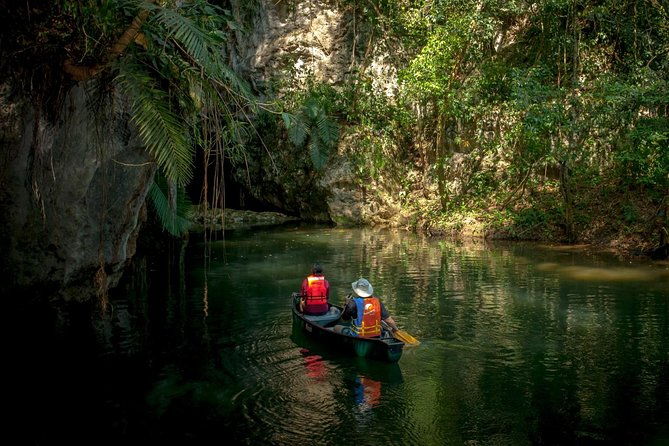 barton-creek-cave-butterfly-farm