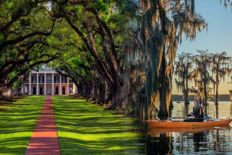 bayous-and-byways-oak-alley-plantation-and-kayak-swamp-tour