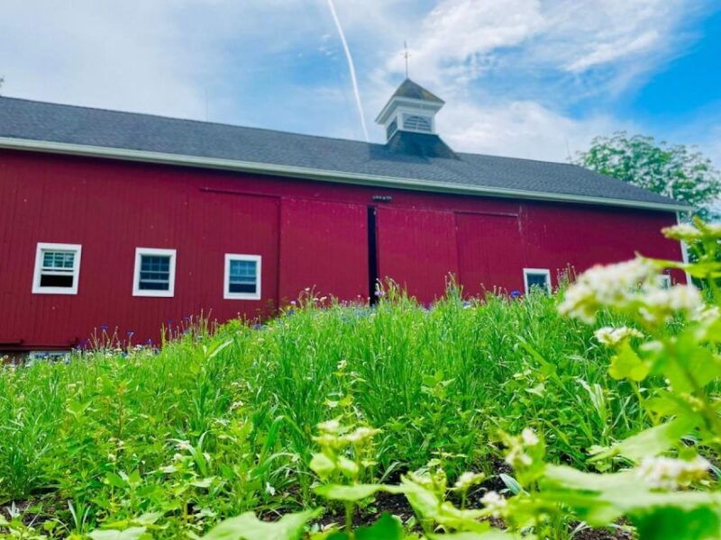 beacon-food-farm-tour-in-the-hudson-valley