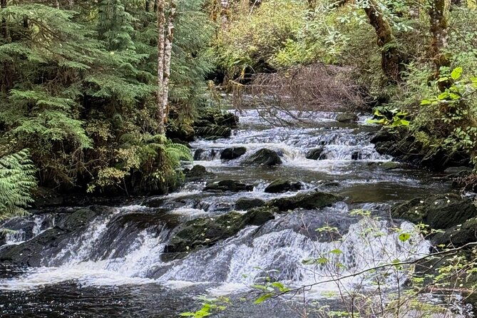 beautiful-hike-on-tongass-national-forests-lunch-creek-trail
