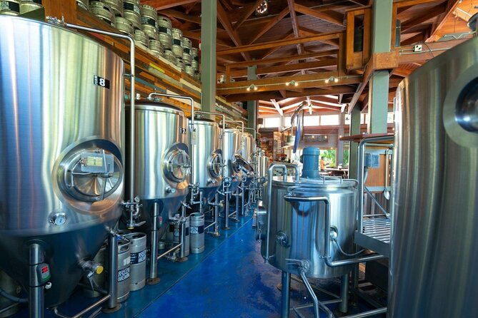 beer-and-food-tasting-experience-at-roatan-island-brewing-company