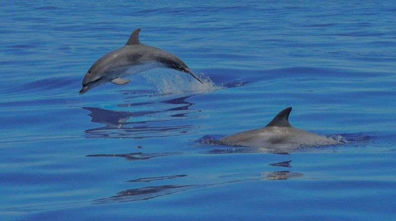 benalmadena-boat-rental-in-malaga-for-hours