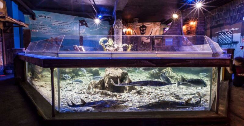 benalmadena-sea-life-benalmadena-premium-entry-ticket