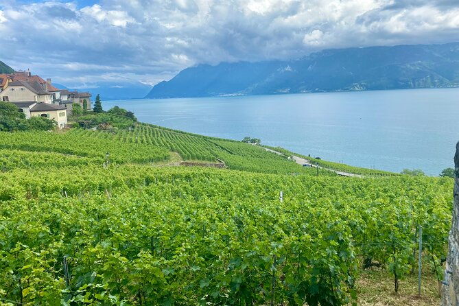 bern-private-tour-gruyeres-cheese-and-lavauxs-unesco-wine