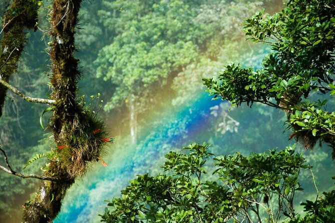 best-of-costa-rica-12d-11n-vacation-package