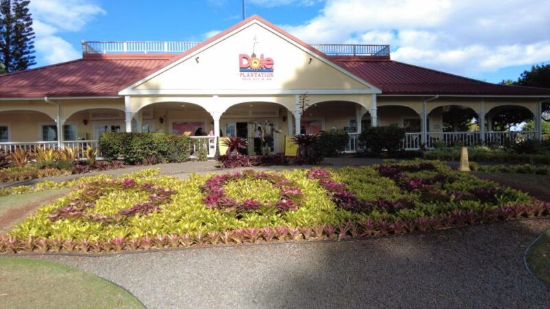 best-of-oahu-in-one-day