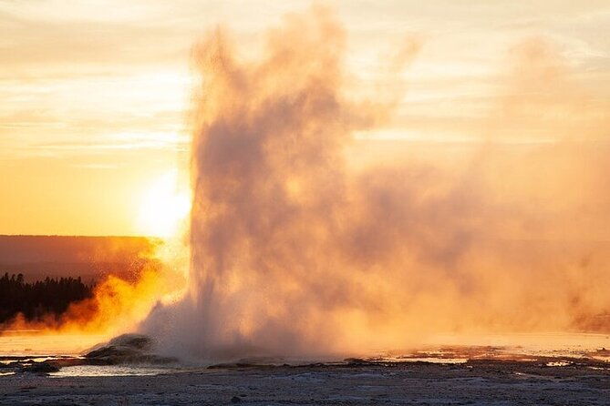 best-of-yellowstone-natl-park-from-w-yellowstone-private-tour