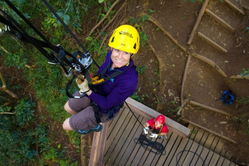 big-island-3-hour-kohala-canopy-zipline-adventure
