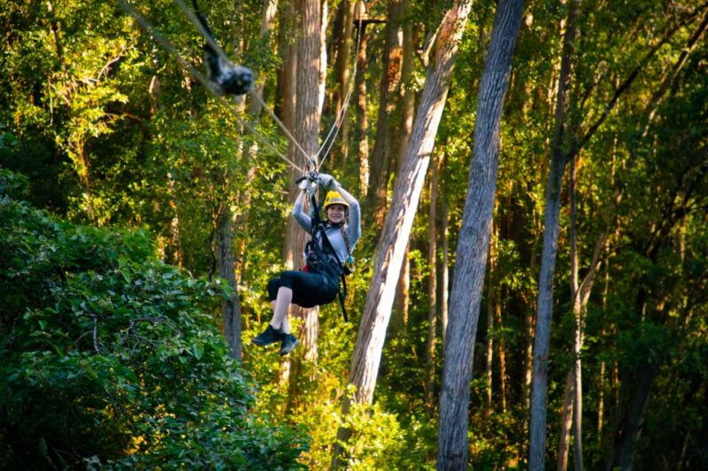 big-island-full-day-kohala-zipline-and-waterfall-adventure