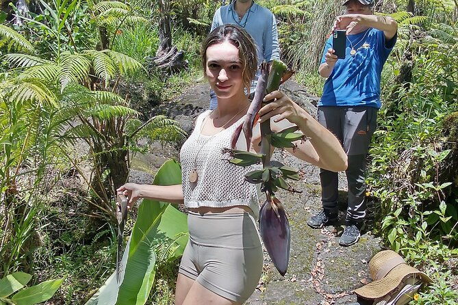 big-island-jungle-tour-with-banana-and-guava-green-tea