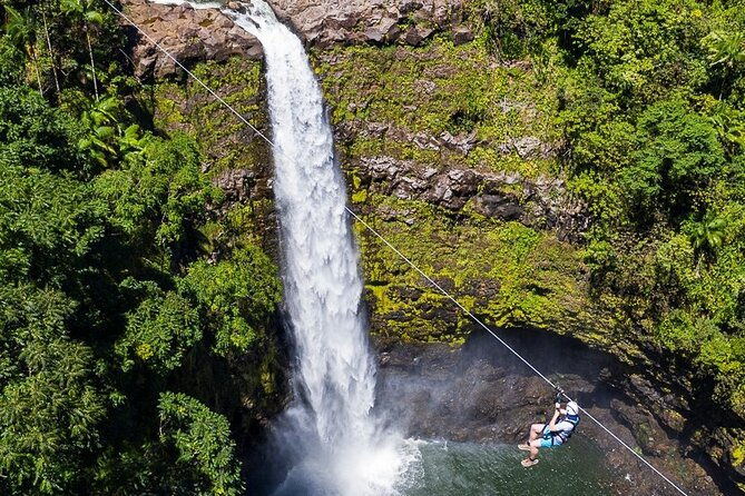 big-island-zipline-over-kolekole-falls-w-hilo-cruise-ship-pickup