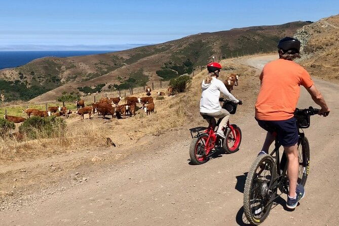 big-surs-old-coast-road-ebike-tour
