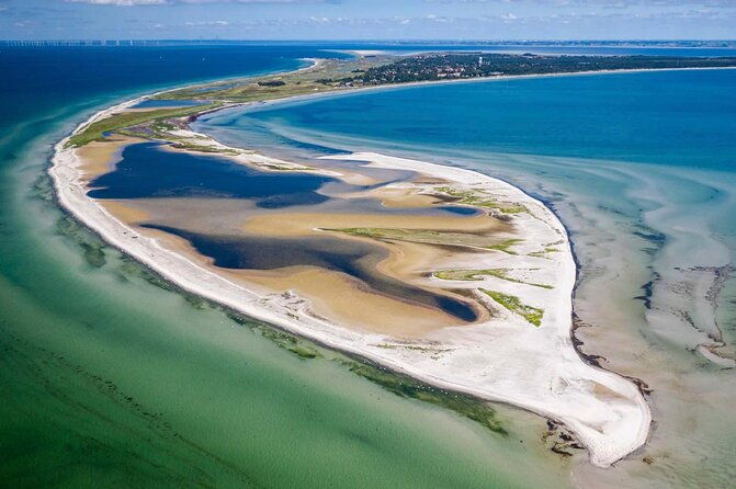 bird-watching-private-tour-in-copenhagen
