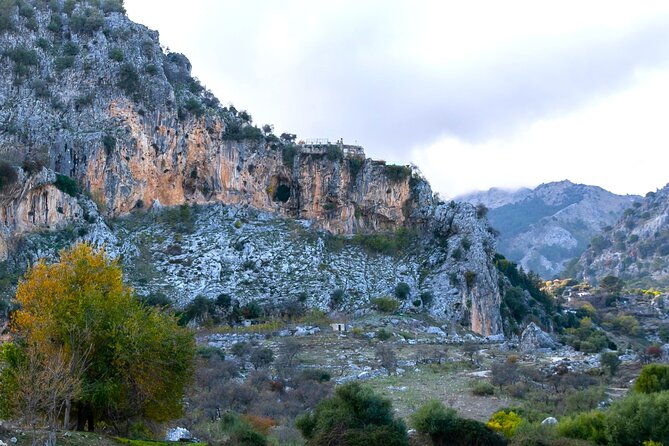 birdwatching-in-ronda-and-grazalema