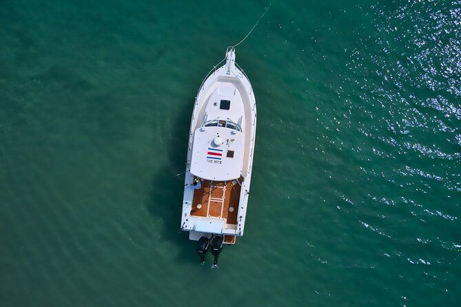 blue-sea-sport-fishing-tours