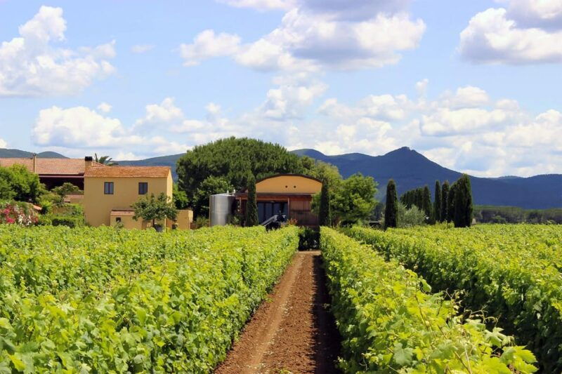 bolgheri-sensorial-wine-tasting-at-famous-winery