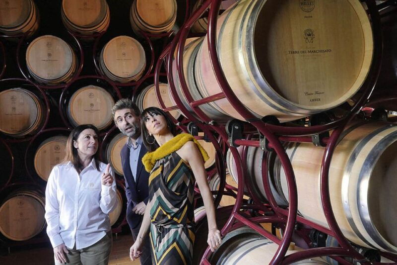 bolgheri-winery-tour-with-wine-tasting