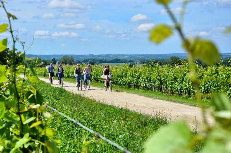 bordeaux-backcountry-e-bike-tour-with-lunch-wine-tasting