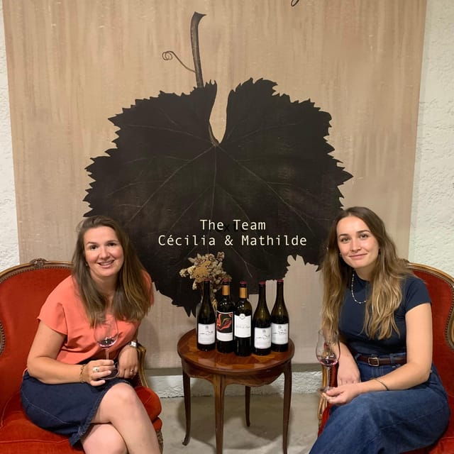 bordeaux-guided-bordeaux-wine-tasting-class-with-6-wines