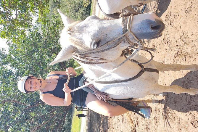 borinquen-one-day-tour-zip-line-horses-hot-springs