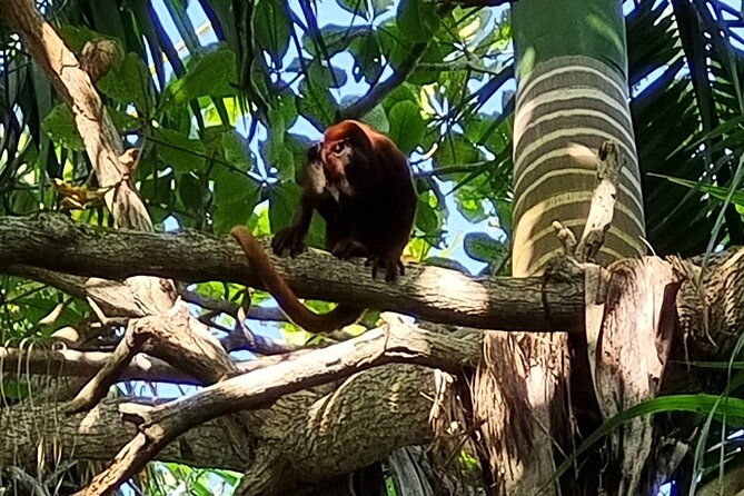 botanical-garden-cartagena-private-tour-with-bilingual-guide