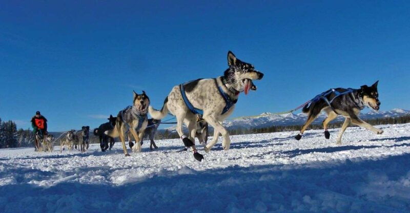 bozeman-6-day-yellowstone-winter-wonderland-tour