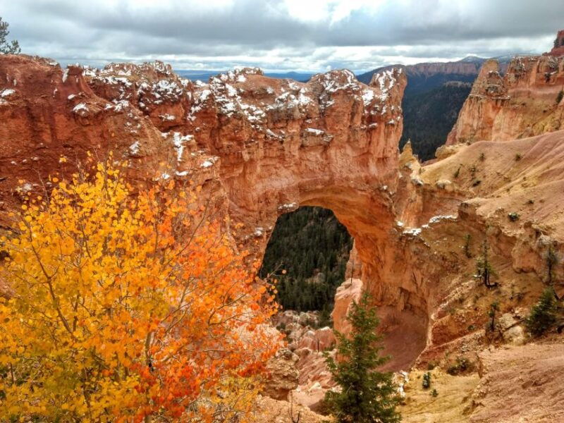 bryce-guided-sightseeing-tour-of-bryce-canyon-national-park