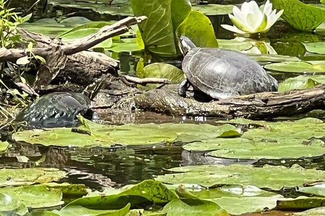 buckhorn-state-park-nature-hike-kayaking-tour-and-fishing
