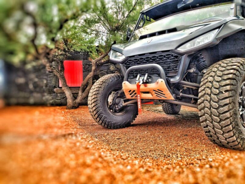 buggy-ride-through-the-vineyards-of-pico-island