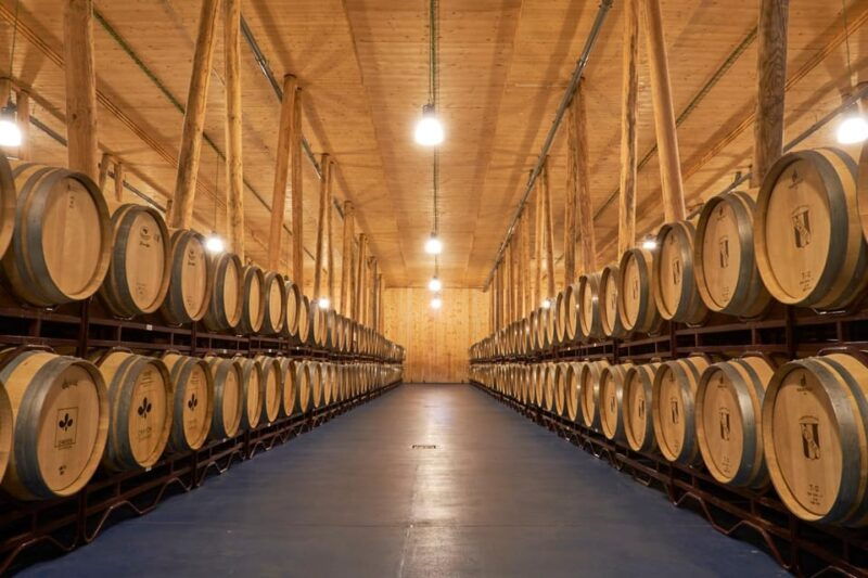burgos-bela-winery-villalba-de-duero