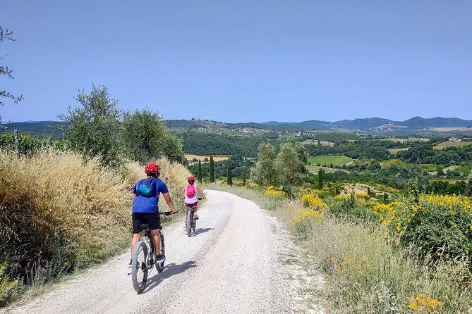 by-ebike-visit-an-art-park-and-wine-taste-in-the-classic-chianti