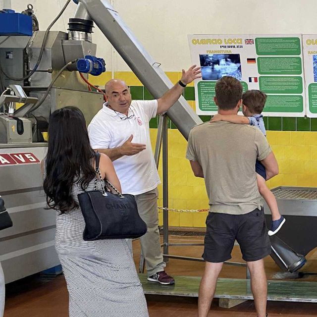 cagliari-exclusive-extra-virgin-olive-oil-tour-at-museum