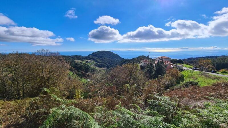 camacha-levada-trail-e-bike-guided-tour