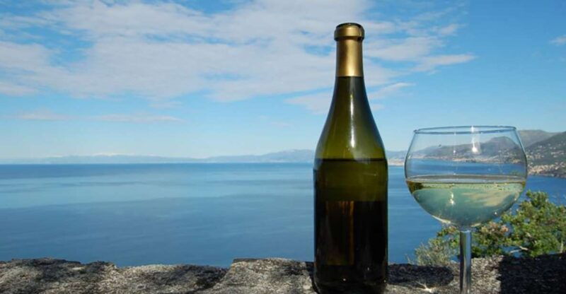 camogli-ligurian-wine-tasting-experience