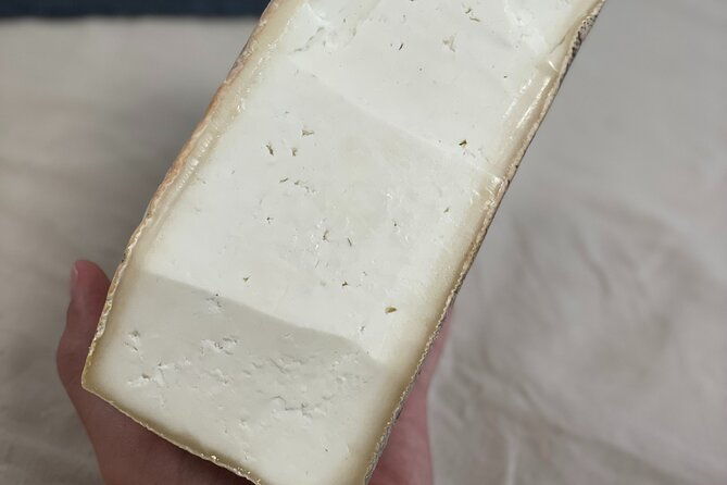 canarian-cheese-tasting