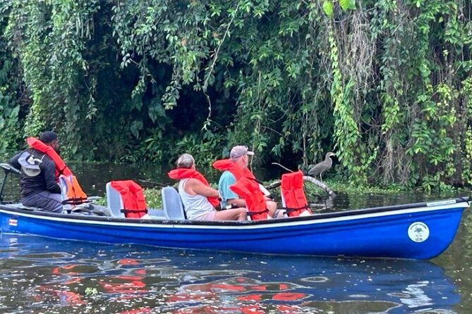 canoe-tour-in-tortuguero-national-park-4