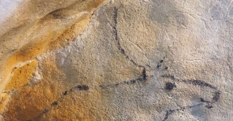 cantabria-the-castillo-caves-paleolithic-art
