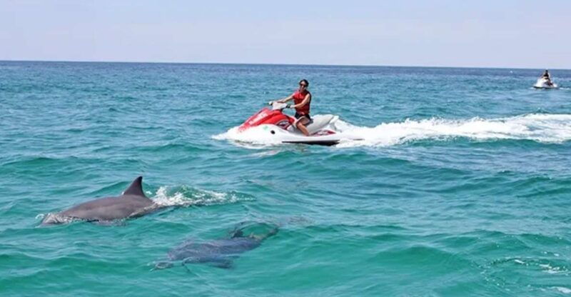 cape-coral-and-fort-myers-wild-life-jet-ski-tour