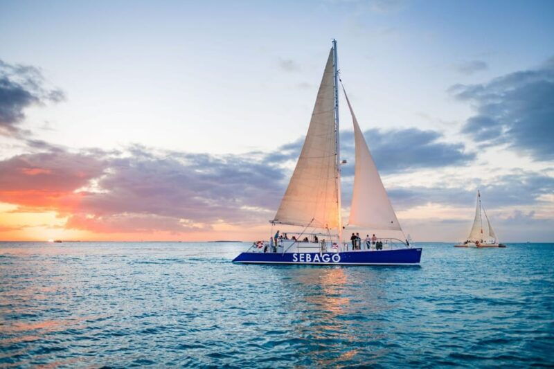 captains-choice-dolphin-watch-sunset-sail