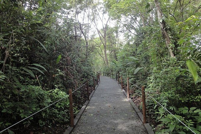 carara-national-park-and-crocodile-river-cruise