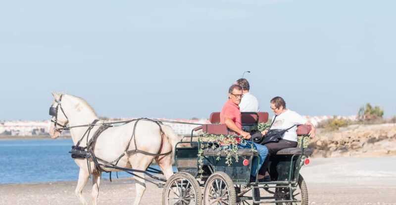 carriage-ride-on-the-beach-rosario-beach
