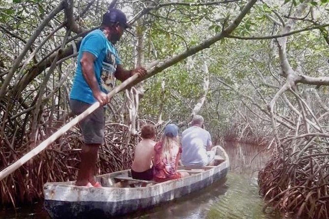 cartagena-mangrove-tour