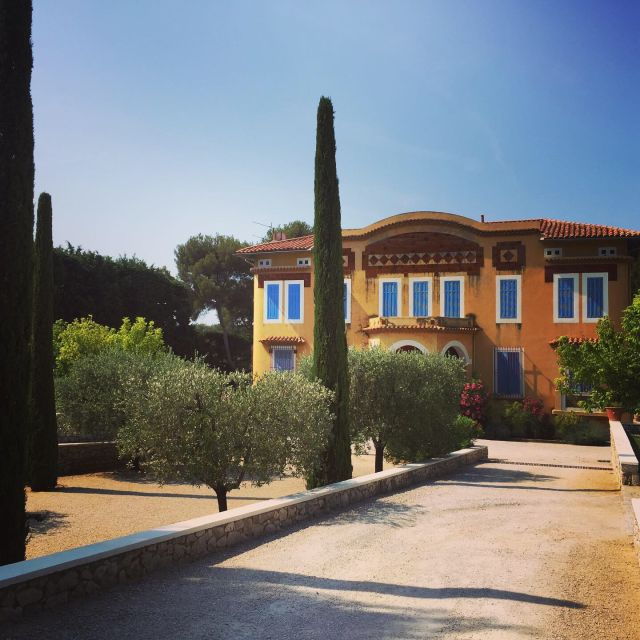 cassis-wine-tour-sea-cliffs-and-vineyards