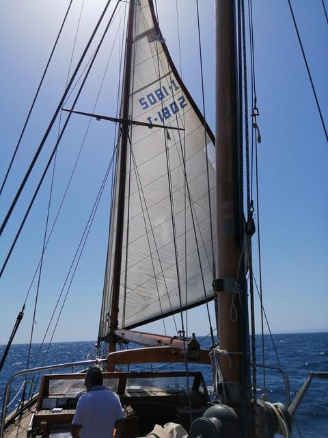 castro-marina-le-sailing-boat-trip-on-vintage-cassiopee