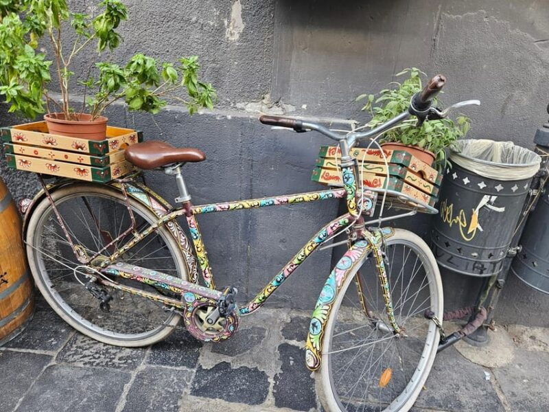 catania-market-street-food-departure-from-taormina